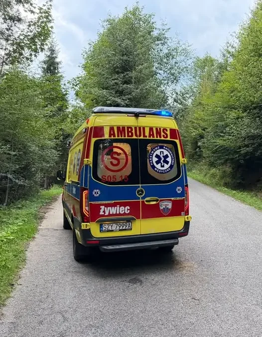 Nocna akcja ratunkowa w Jeleśni – OSP wspierało ZRM