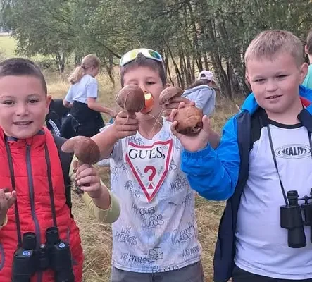 Lekcja przyrody w terenie – uczniowie z Jeleśni badali faunę i florę
