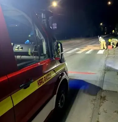 Kolizja z dziką zwierzyną w Rajczy – interweniowali strażacy i policja