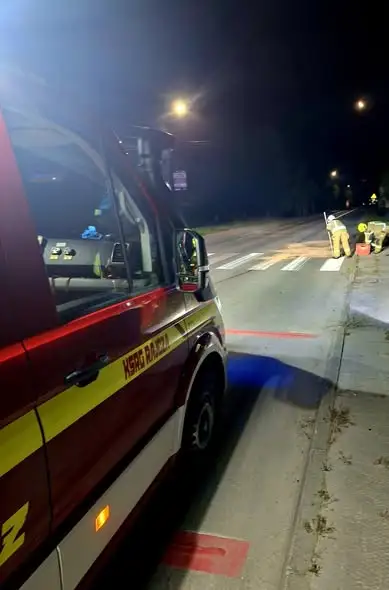 Kolizja z dziką zwierzyną w Rajczy – interweniowali strażacy i policja
