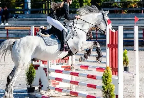 Amelia Remiorz ze Szkoły Podstawowej nr 1 w Rajczy z brązem Mistrzostw Polski Południowej w skokach przez przeszkody