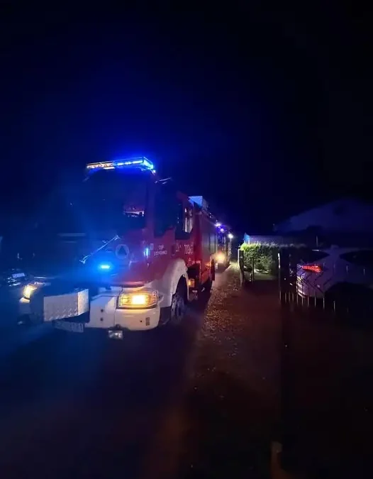 Czujka czadu zaalarmowała mieszkańców Łodygowic. Strażacy potwierdzili brak zagrożenia