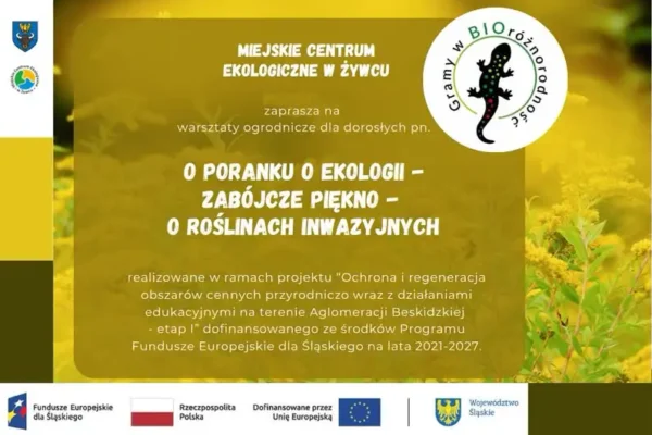 Żywiec: warsztaty o roślinach inwazyjnych i kompozycje kwiatowe w szkle