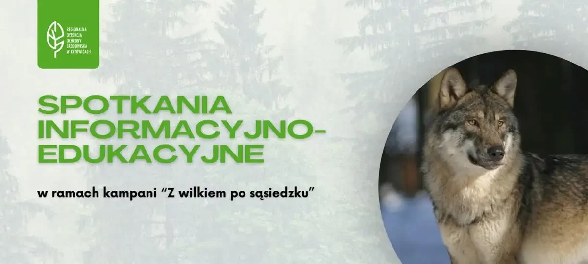 Spotkanie „Z wilkiem po sąsiedzku” w Świnnej – jak bezpiecznie żyć obok drapieżników?