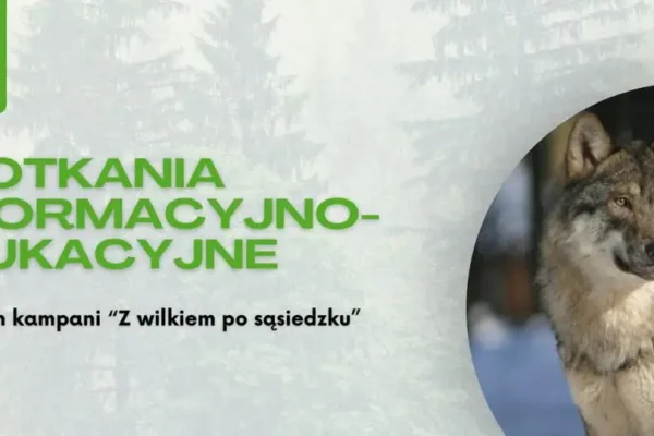 Spotkanie „Z wilkiem po sąsiedzku” w Świnnej – jak bezpiecznie żyć obok drapieżników?