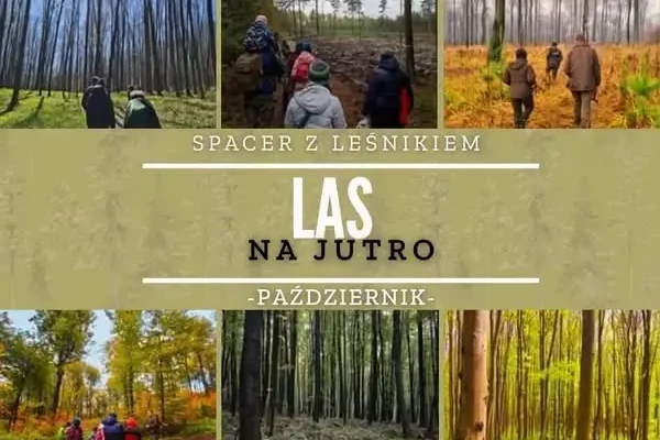 Spacer z leśnikiem w Nadleśnictwie Jeleśnia – 17 października