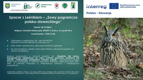 Spacer z leśnikiem w Żywcu: poznaj sowy pogranicza polsko-słowackiego