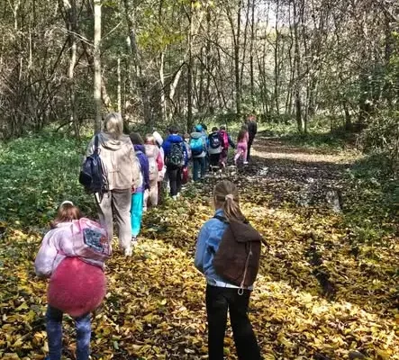 Leśna lekcja w terenie – uczniowie klas I-III odkrywali tajemnice lasu