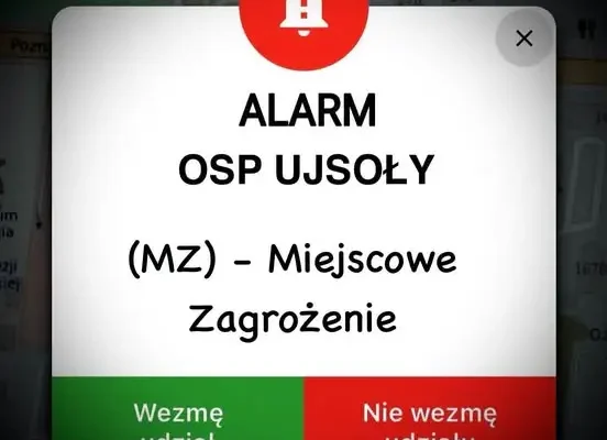 Pochylone drzewo nad jezdnią w Ujsołach – akcja strażaków