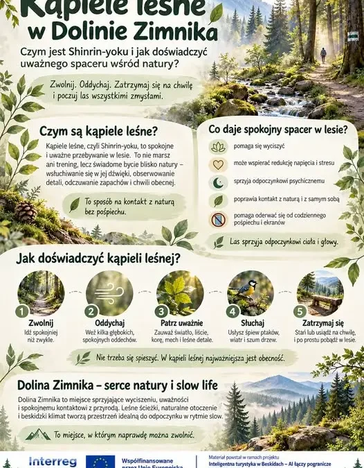 Kąpiele leśne w Beskidach – Gmina Lipowa zaprasza do Doliny Zimnika