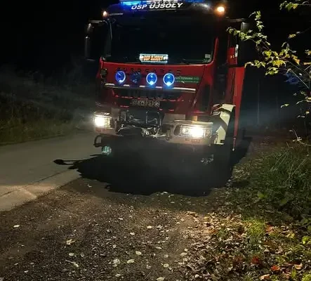 Pochylone drzewo nad jezdnią w Ujsołach – interwencja OSP