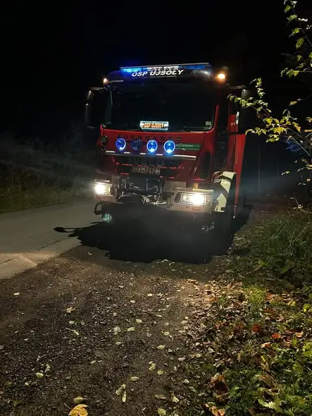 Pochylone drzewo nad jezdnią w Ujsołach – interwencja OSP