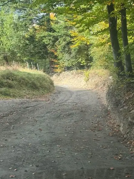 Mieszkańcy Suchej Góry na Prusowie zyskali lepszy dojazd dzięki pracy społecznej