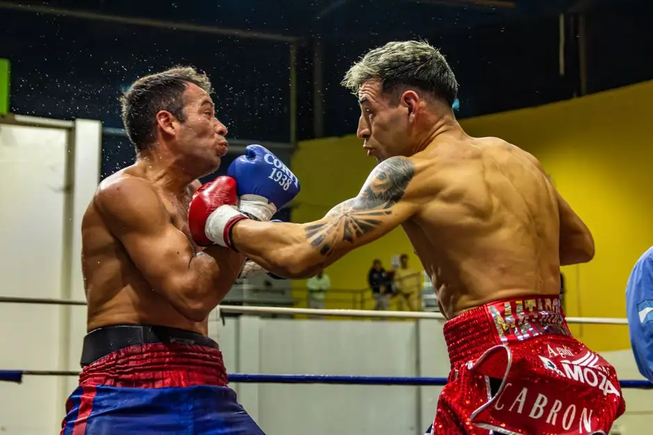 Highlanders Team z Żywca: zwycięstwa Motowidło i Ormańca, walka pokazowa Basika
