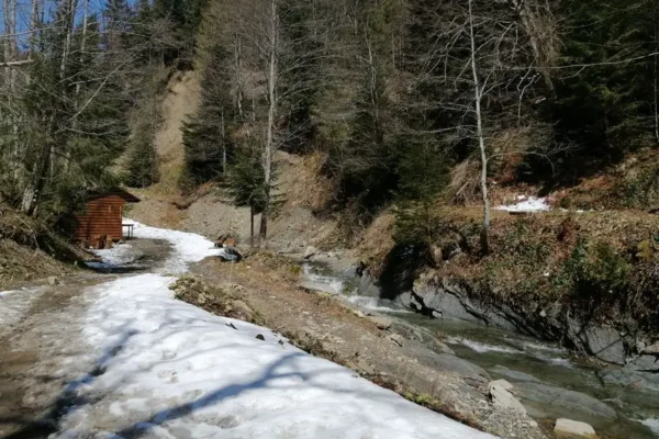 Leśnianka w Gminie Lipowa: 4,6 km trasy cardio z widokiem na Beskidy